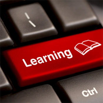 online learning style